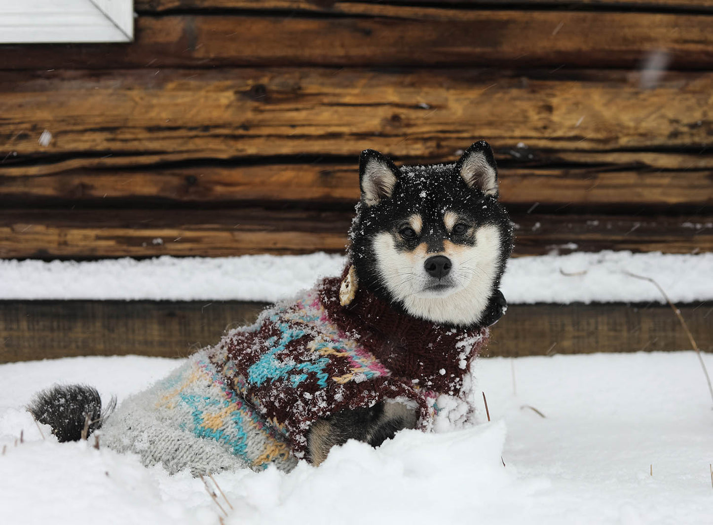 Fables Anima Dog