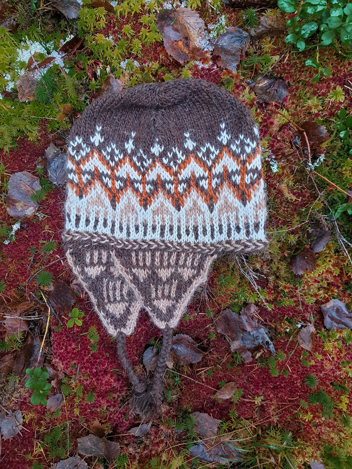 Tåkedis Øreflapplue/ Tåkedis Flaphat