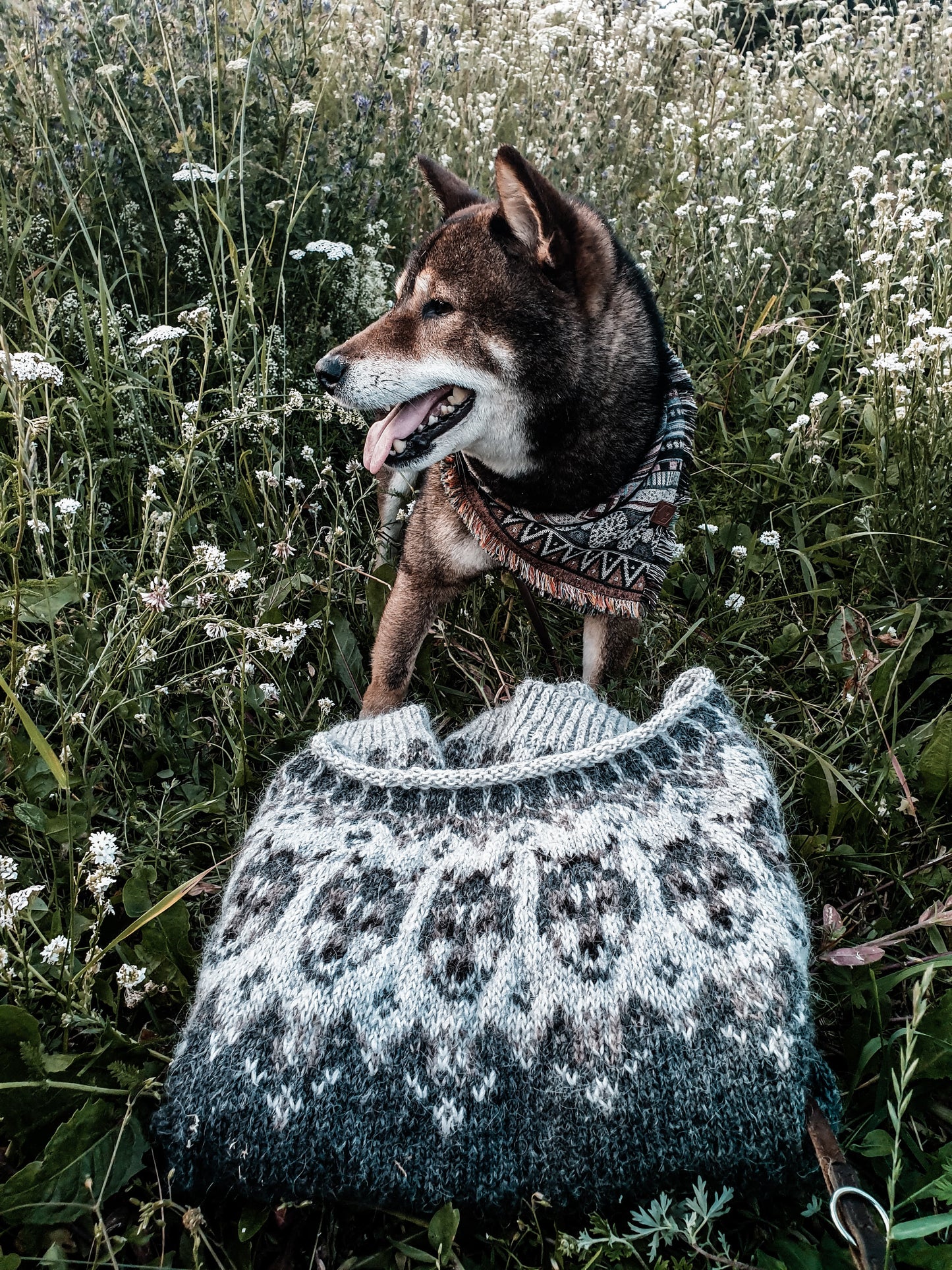 Warg