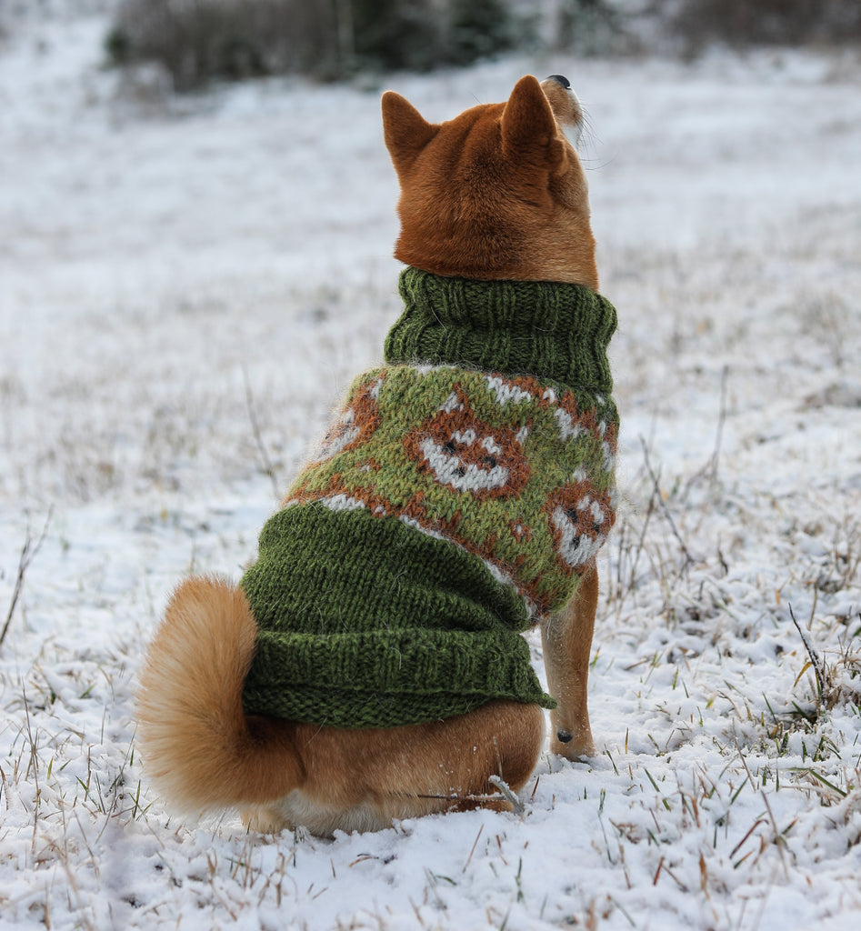 How to knit your first Dogsweater!