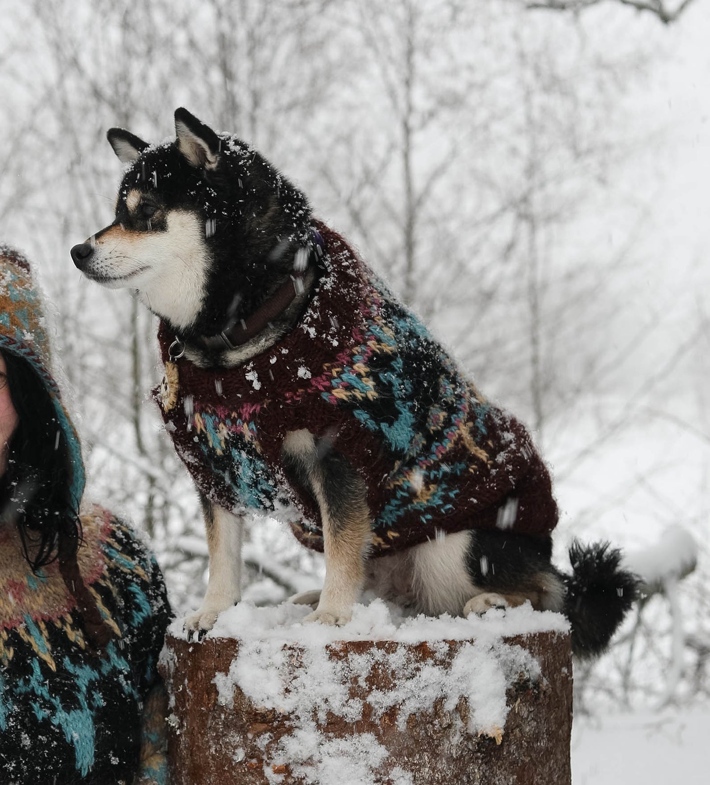 Fables Anima Dog